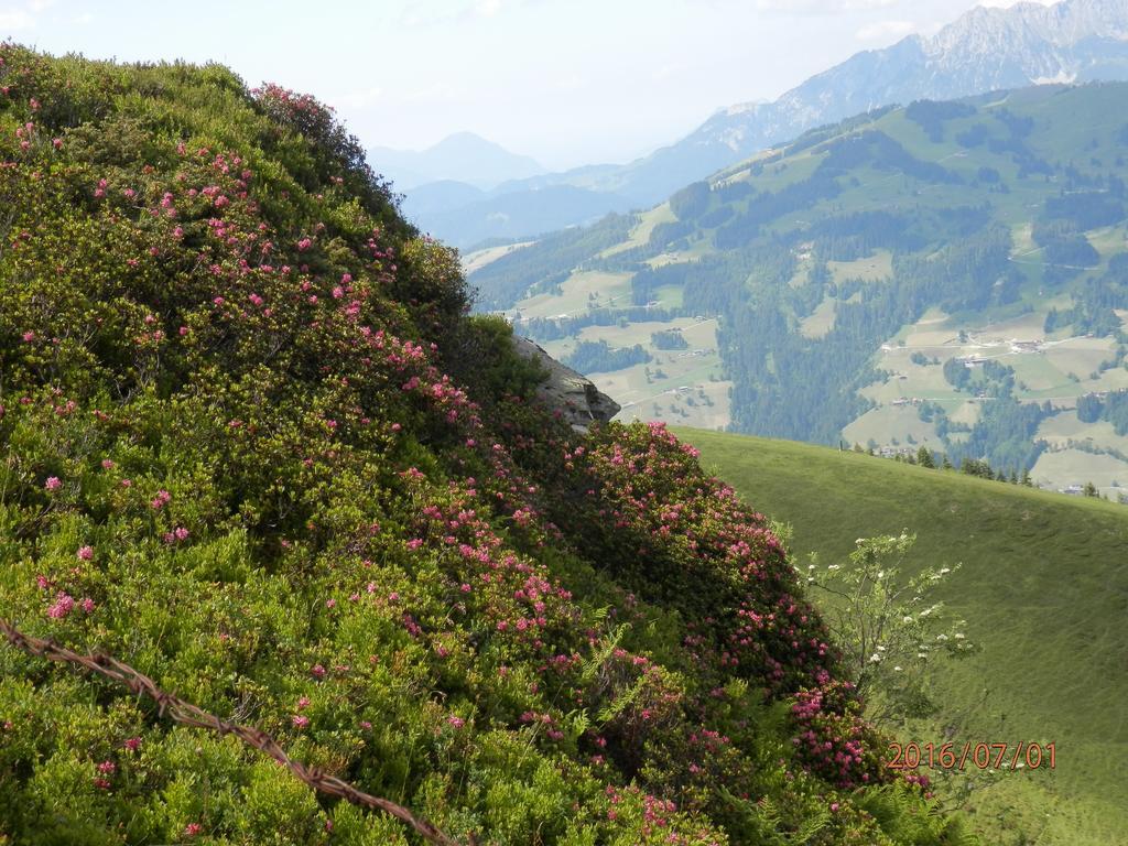 Pension Sporer Westendorf Dış mekan fotoğraf